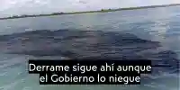 Derrame en el Golfo de México: Crisis ambiental persiste tras casi un mes de fuga de crudo