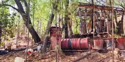 Se matan cuatro agentes después de reventar narcolaboratorios en Chihuahua.