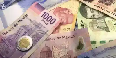 Presupuesto 2026: estados y municipios recibirán gasto récord