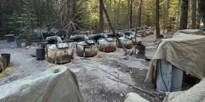 Gobierno de Sheinbaum exige “soberanía” tras muerte de agentes de la CIA en Chihuahua