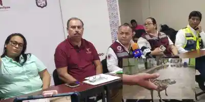 Lluvias dejan 280 ml de agua; alertan por cocodrilos