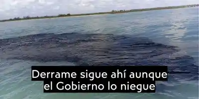 Derrame en el Golfo de México: Crisis ambiental persiste tras casi un mes de fuga de crudo