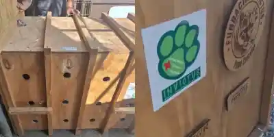 Trasladan a la isa Mina de Monterrey a Pachuca