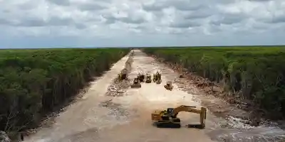 Selva Maya, sentenciada con el Nuevo Poder Judicial